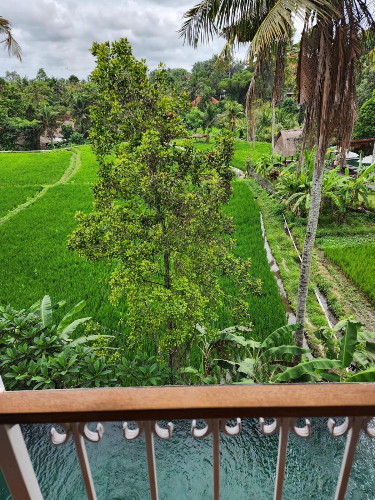 Motama Villa Ubud Esterno foto