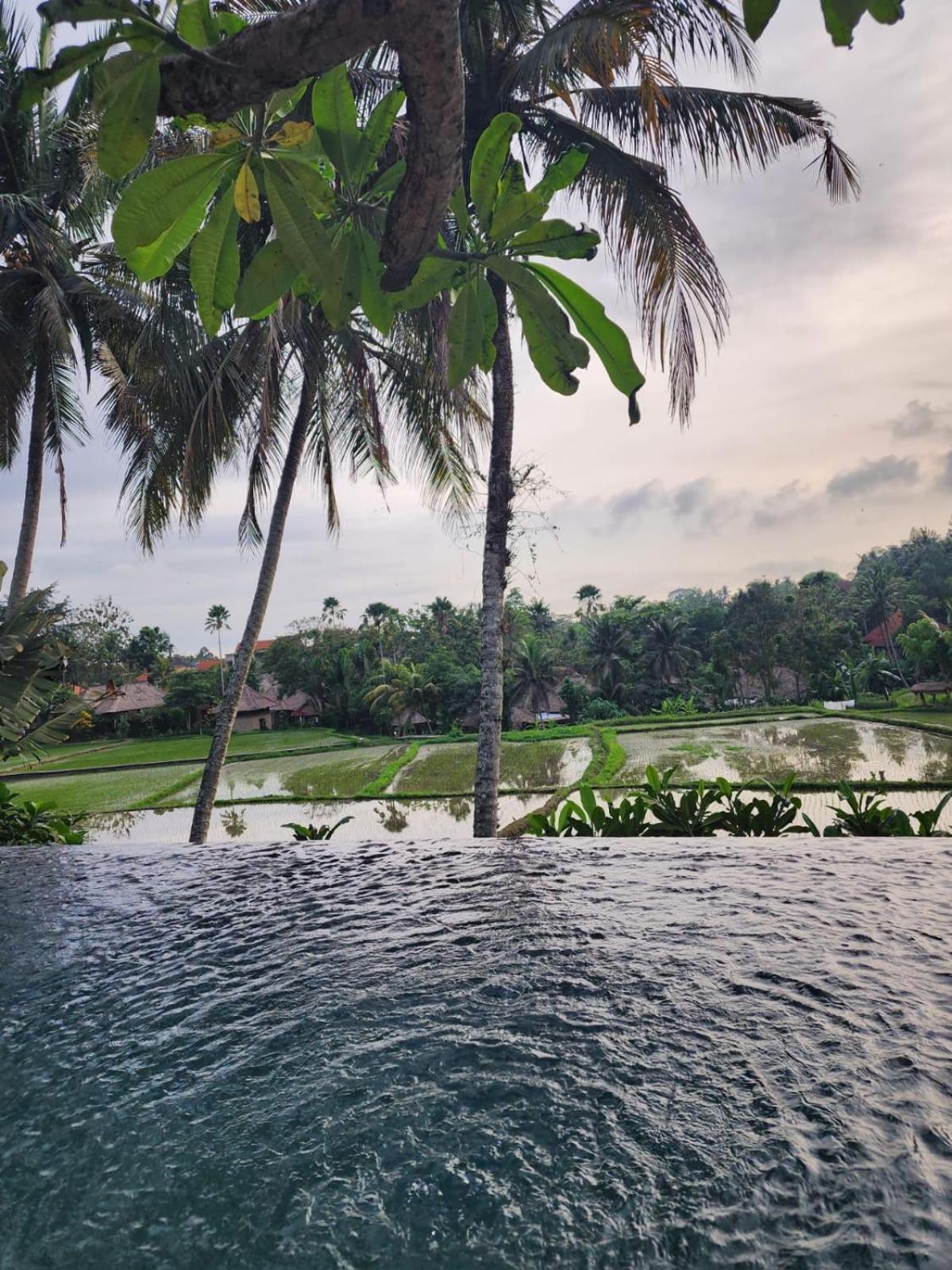 Motama Villa Ubud Esterno foto