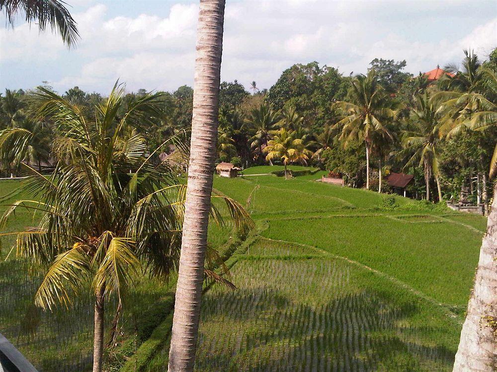 Motama Villa Ubud Esterno foto
